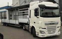 DAF new XF 480 FT SC