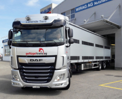 DAF new XF 480 FT SC