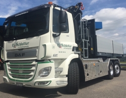 DAF CF 440 FAN D mit Hakengerät + Kran