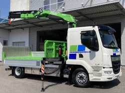 DAF new LF 290 FA 16 To