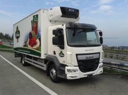 DAF LF 250 FA Schlafkabine