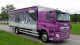 DAF Schweiz