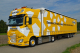 Renault Lieferwagen Winterthur